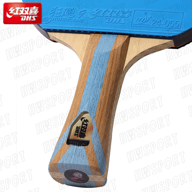 DHS 6 Star Color Table Tennis  - Table Tennis Paddle review and price