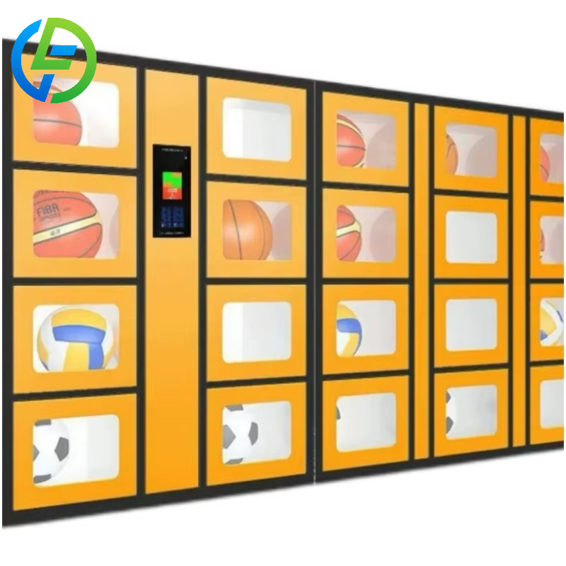 Customize 24-hour Smart Sports - Sports Equipment Locker review and price