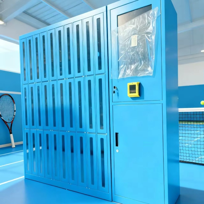 Custom High-quality Club Gym S - Sports Equipment Locker review and price